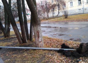 В Трёхгорном вынесли приговор вандалам, повредившим дорожные знаки