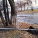 В Трёхгорном вынесли приговор вандалам, повредившим дорожные знаки