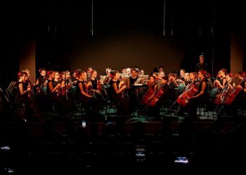 В Челябинской области запустили программу «Земский работник культуры»