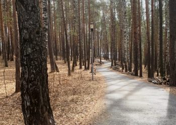 В Трёхгорном начались работы по благоустройству парка «Глухарь»
