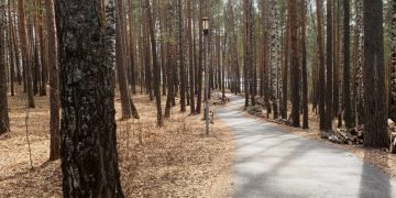 В Трёхгорном начались работы по благоустройству парка «Глухарь»