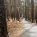 В Трёхгорном начались работы по благоустройству парка «Глухарь»