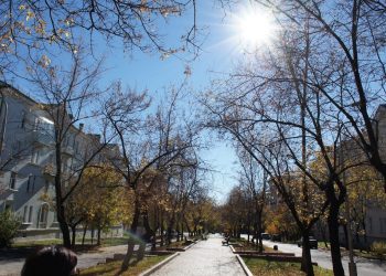 Жителям Трёхгорного предлагают выбрать вариант благоустройства аллеи Ленина