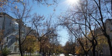 Жителям Трёхгорного предлагают выбрать вариант благоустройства аллеи Ленина