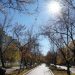 Жителям Трёхгорного предлагают выбрать вариант благоустройства аллеи Ленина
