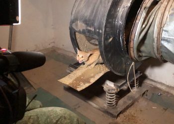 В Трёхгорном спасли застрявшего в вентиляции кота