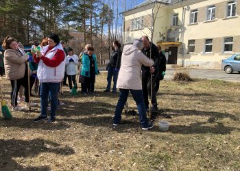 Активисты привели в порядок территорию «Комплексного центра» и высадили саженец берёзы