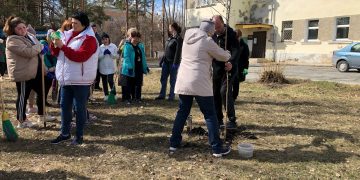 Активисты привели в порядок территорию «Комплексного центра» и высадили саженец берёзы