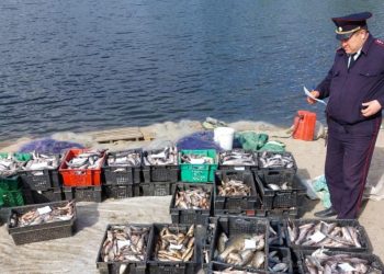 В Челябинской области отменили нерестовый запрет на рыбалку