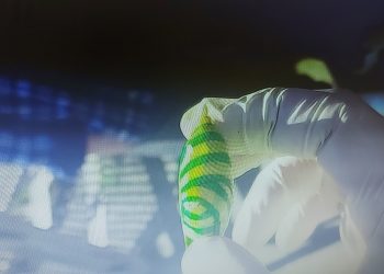 Полицейские Трёхгорного на КПП задержали мужчину с наркотиками