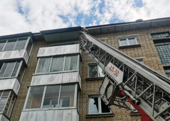 В Трёхгорном коммунальщиков и огнеборцев объединило спасение кошки