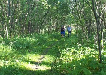 В Трёхгорном активисты вышли с предложением благоустроить тропу здоровья
