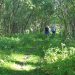 В Трёхгорном активисты вышли с предложением благоустроить тропу здоровья