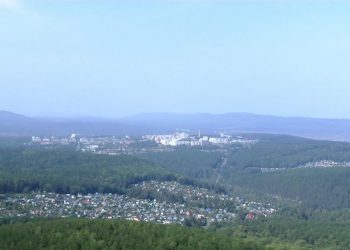 Жительница Трёхгорного рассказала журналистам о встрече с медведем