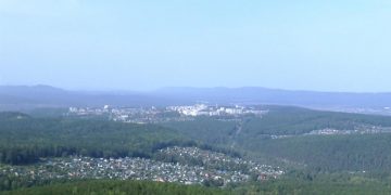 Жительница Трёхгорного рассказала журналистам о встрече с медведем