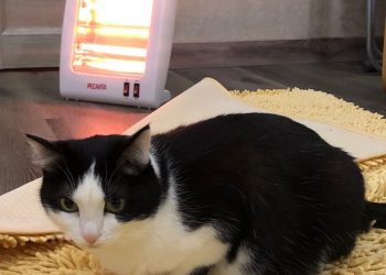 Стало известно, когда включат отопление в Трёхгорном