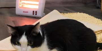 Стало известно, когда включат отопление в Трёхгорном