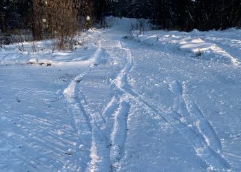 В Трёхгорный неизвестный автолюбитель испортил лыжню