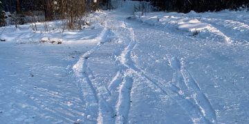 В Трёхгорный неизвестный автолюбитель испортил лыжню