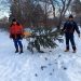 В Трёхгорном новогодние живые ели переработали в щепу для подстилки животным, обитающим в нацпарке