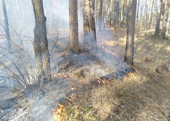 В Трёхгорном начался пожароопасный сезон
