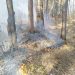 В Трёхгорном начался пожароопасный сезон
