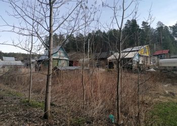 В Трёхгорном выявлены нарушители особого противопожарного режима