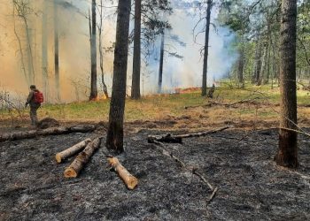 Как пожарить шашлык, не нарушив требований пожарной безопасности?