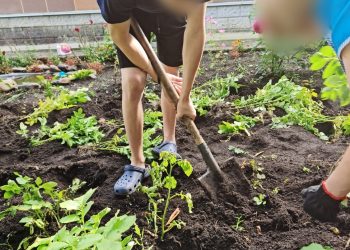 Дети из Центра помощи вырастили урожай