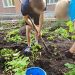 Дети из Центра помощи вырастили урожай