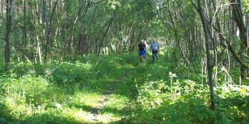 В Трехгорном в 2024 году благоустроят три общественные территории