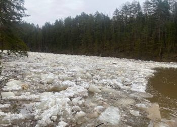 Угроза подтопления территории Трехгорного миновала