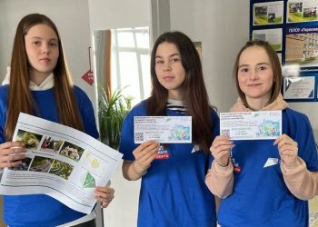 Волонтеры Челябинской области собрали более 260 тысяч голосов за объекты благоустройства