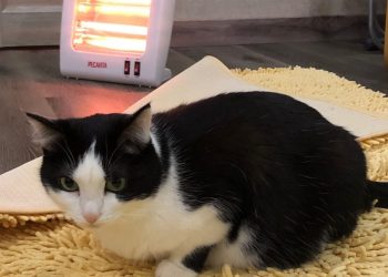 В квартиры жителей Трехгорного в ближайшие дни придет тепло