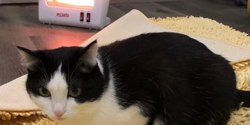 В квартиры жителей Трехгорного в ближайшие дни придет тепло