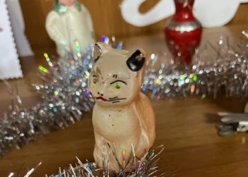 Музей потрясающих вещей ждет трехгорненцев