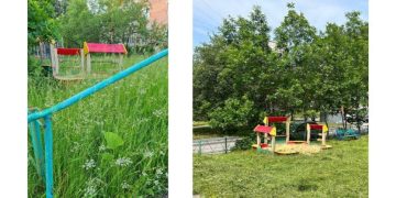 Проблему заметили — решение не заставило ждать