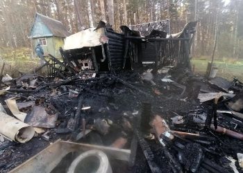 В Трёхгорном огнеборцы отстояли лес и соседние дома от крупного пожара в садах