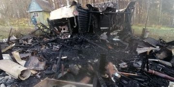 В Трёхгорном огнеборцы отстояли лес и соседние дома от крупного пожара в садах